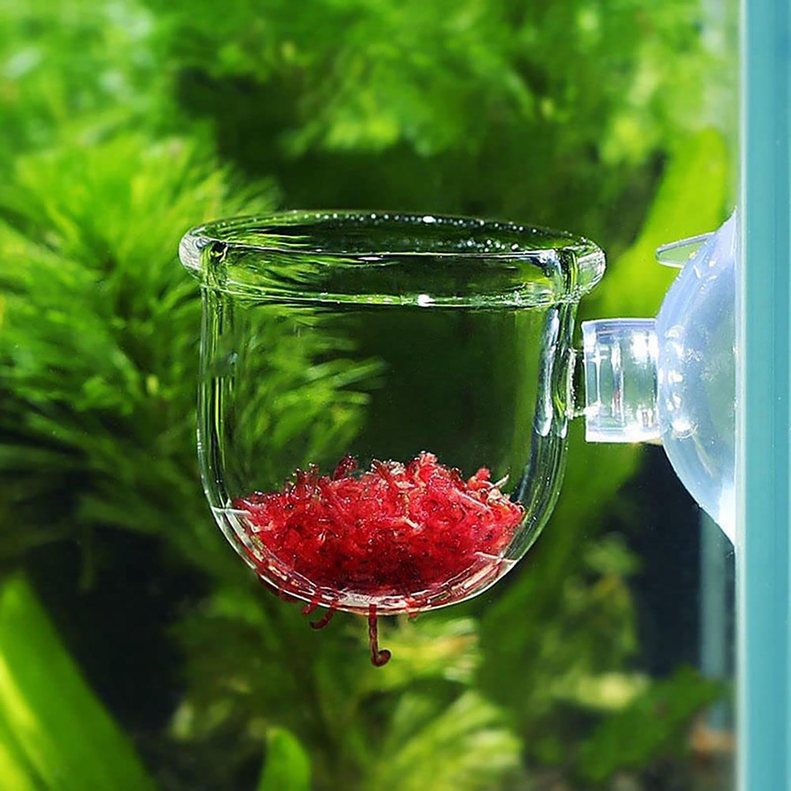 Aquarium Fish Beautiful - Uchwyt na rośliny do akwarium, przezroczyste