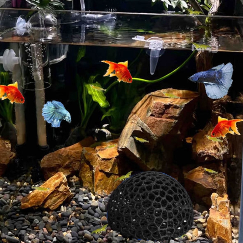 Schronisko dla ryb Narożnik ja – Aquarium Fish Beautiful recenzja i cena