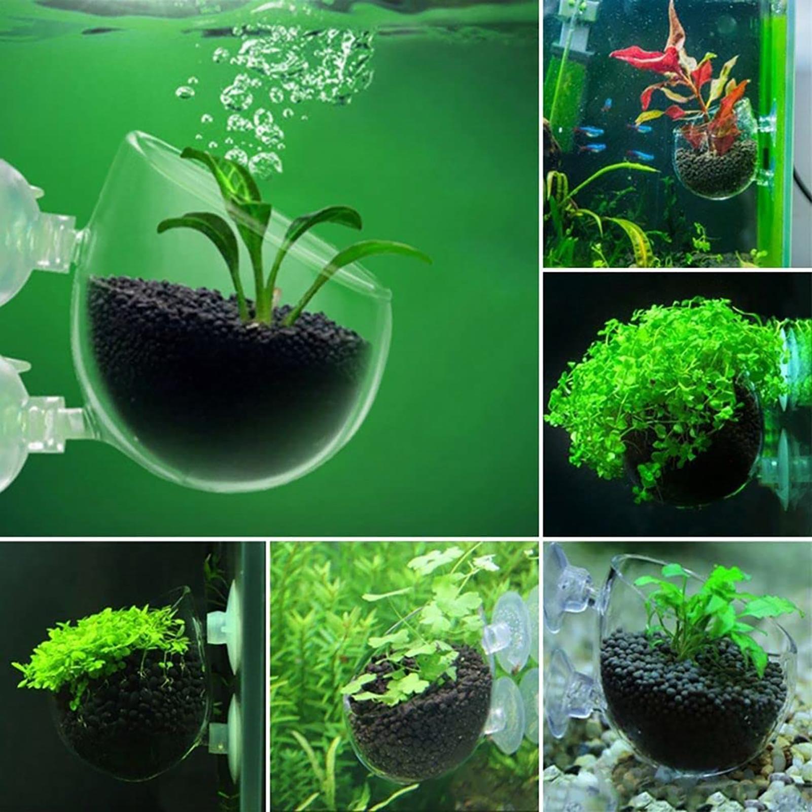 Akrylowy kubek na rośliny do a – Aquarium Fish Beautiful recenzja i cena