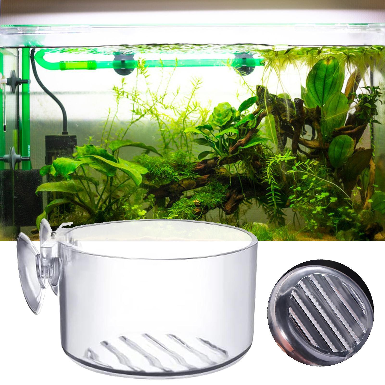 Akrylowy kubek na rośliny do a – Aquarium Fish Beautiful recenzja i cena
