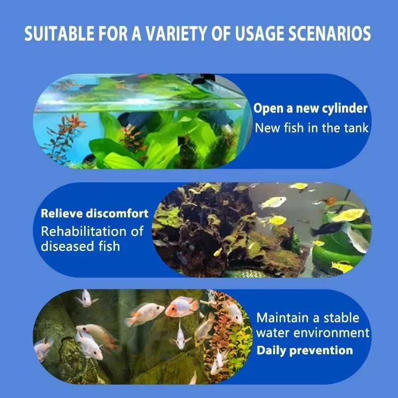 Leczenie chorób ryb SIKEZHAN i – Aquarium Fish Saltwater recenzja i cena