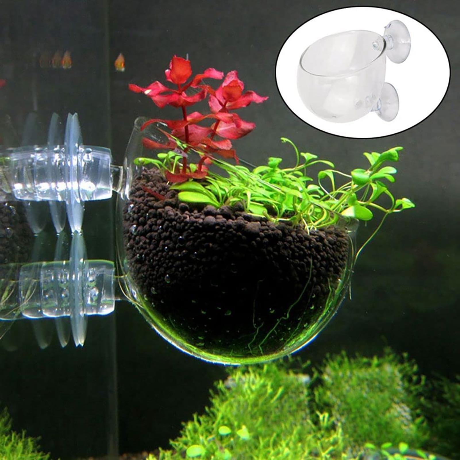 Akrylowe doniczki do roślin ak – Aquarium Fish Beautiful recenzja i cena