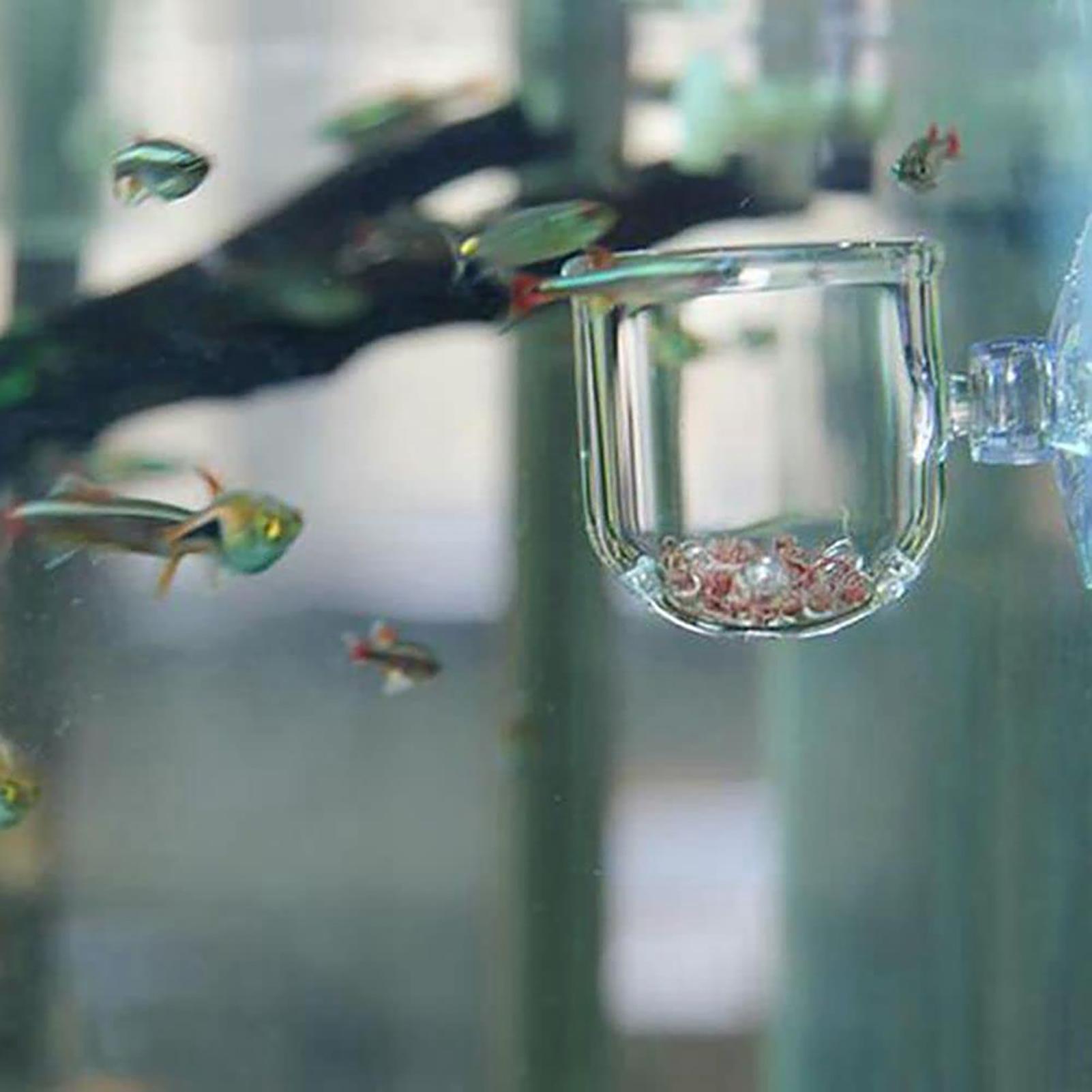 Akrylowe doniczki do roślin ak – Aquarium Fish Beautiful recenzja i cena