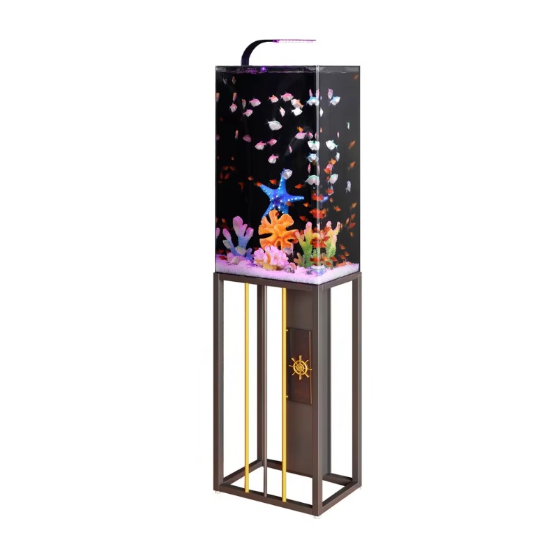 Akrylowe akwarium 2026, duże i – Aquarium Fish Beautiful recenzja i cena