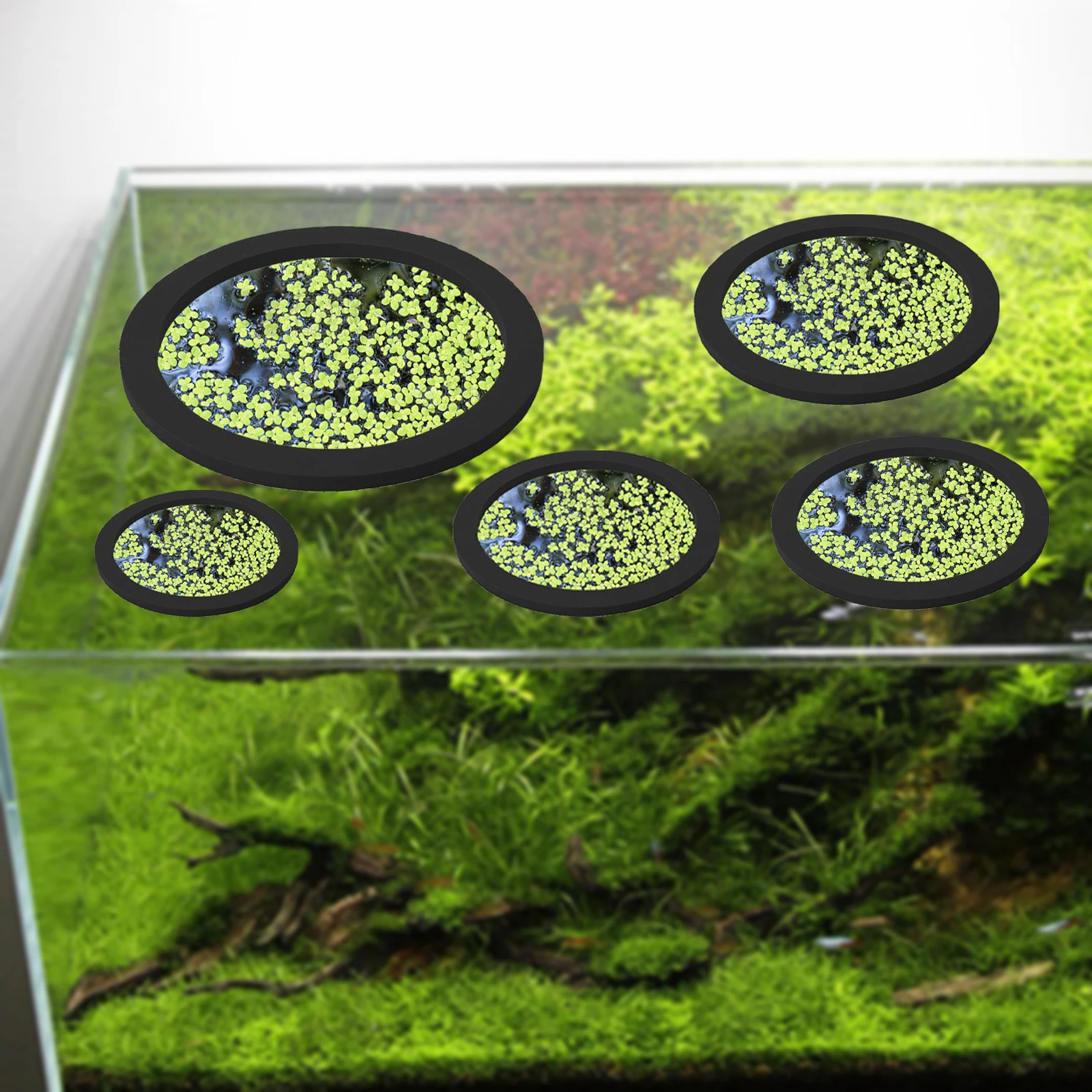 5Pcs EVA Pierścień do karmieni – Aquarium Fish Gallery recenzja i cena