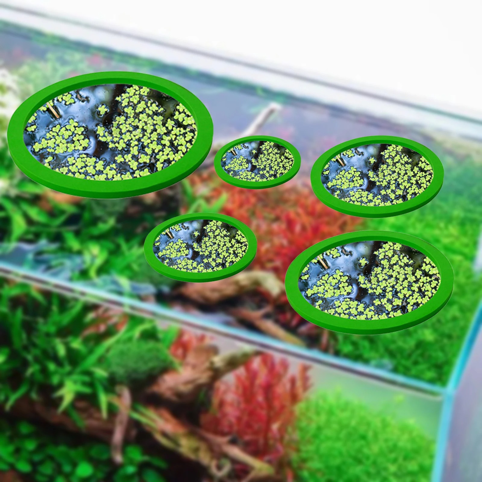5Pcs EVA Pierścień do karmieni – Aquarium Fish Gallery recenzja i cena