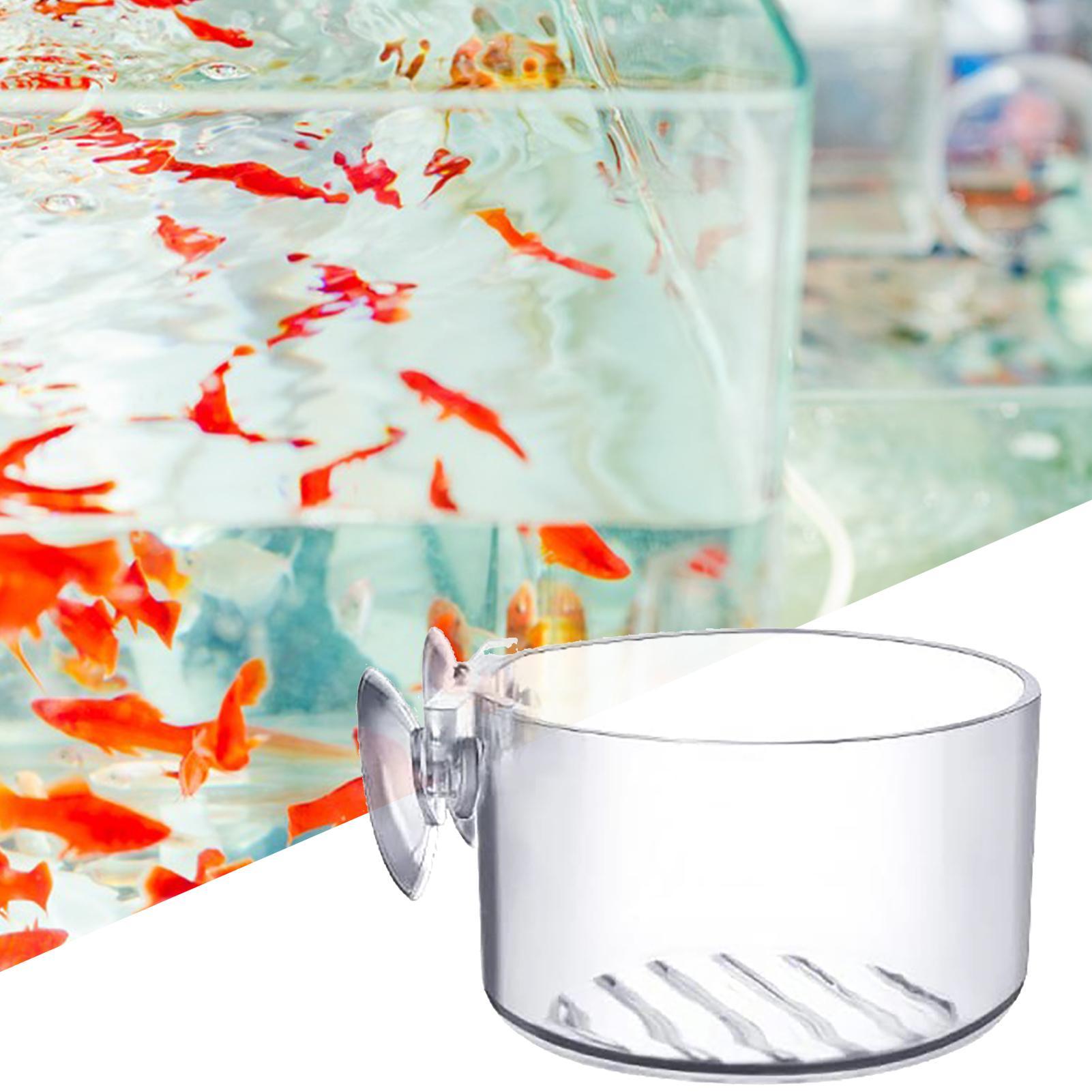 Akrylowe uchwyty na rośliny ak – Aquarium Fish Beautiful recenzja i cena