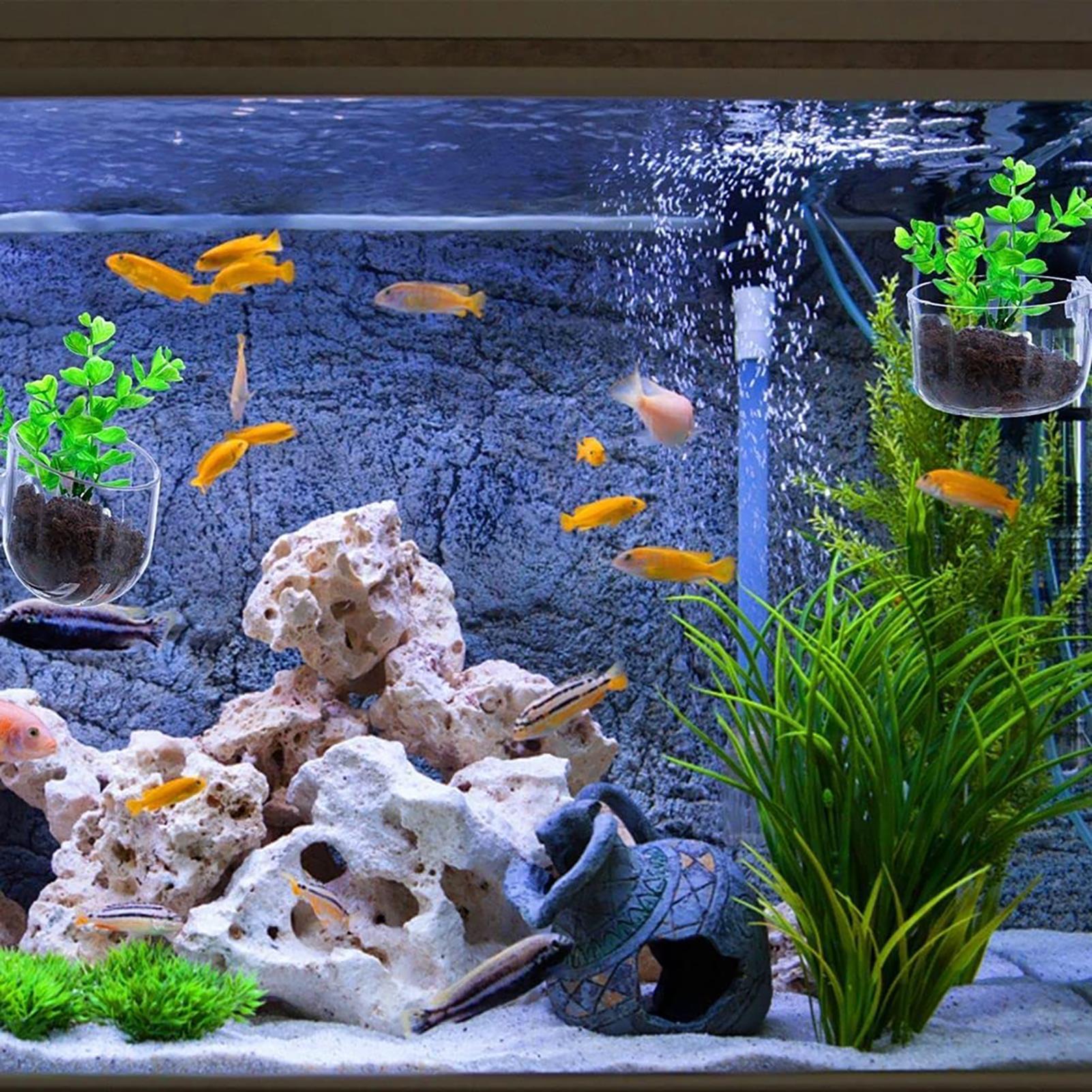 Uchwyt na rośliny do akwarium, – Aquarium Fish Beautiful recenzja i cena