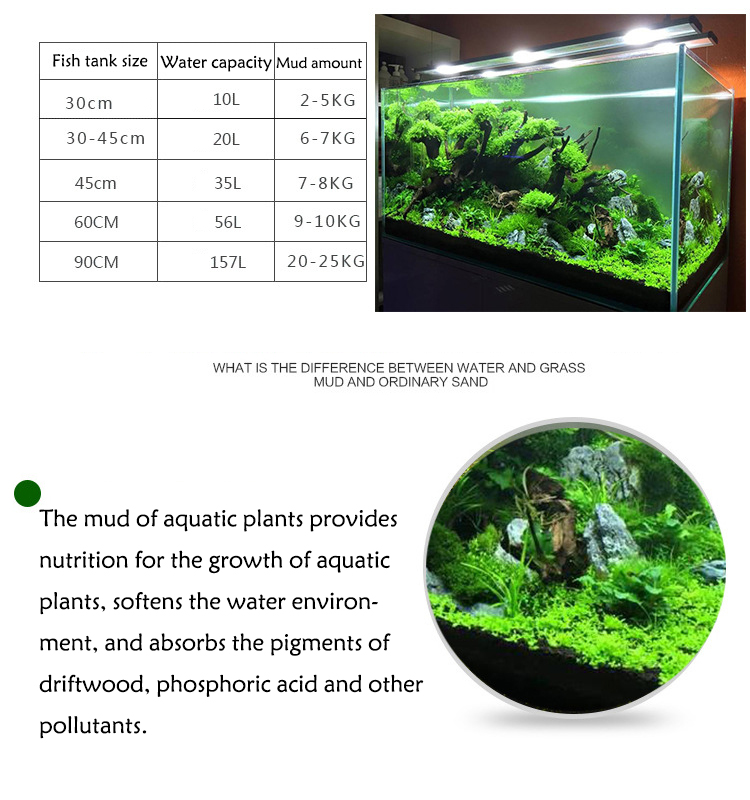 Roślina akwariowa nasiona gleb – Aquarium Fish Gallery recenzja i cena