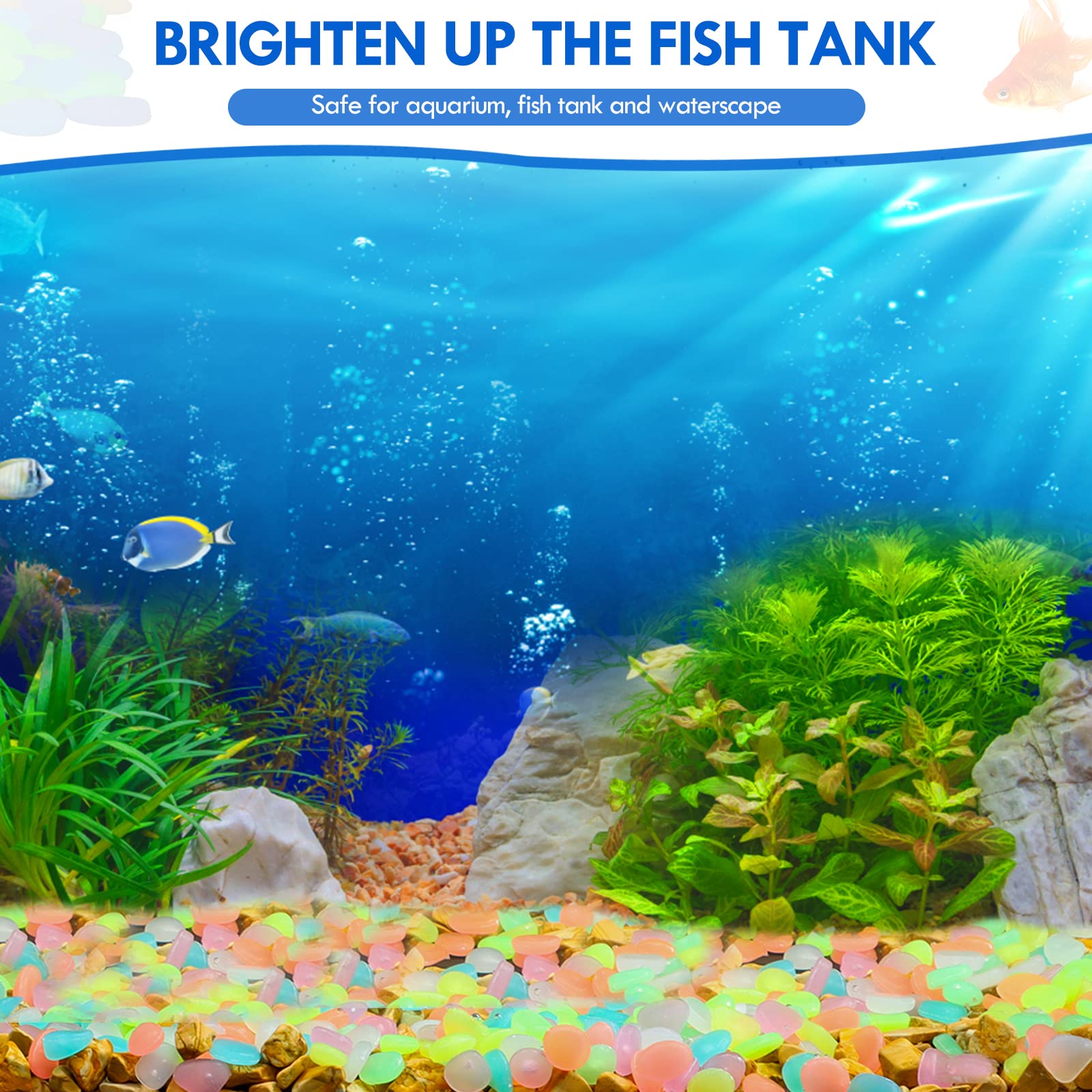 100 sztuk świecących w ciemnoś – Aquarium Fish Saltwater recenzja i cena