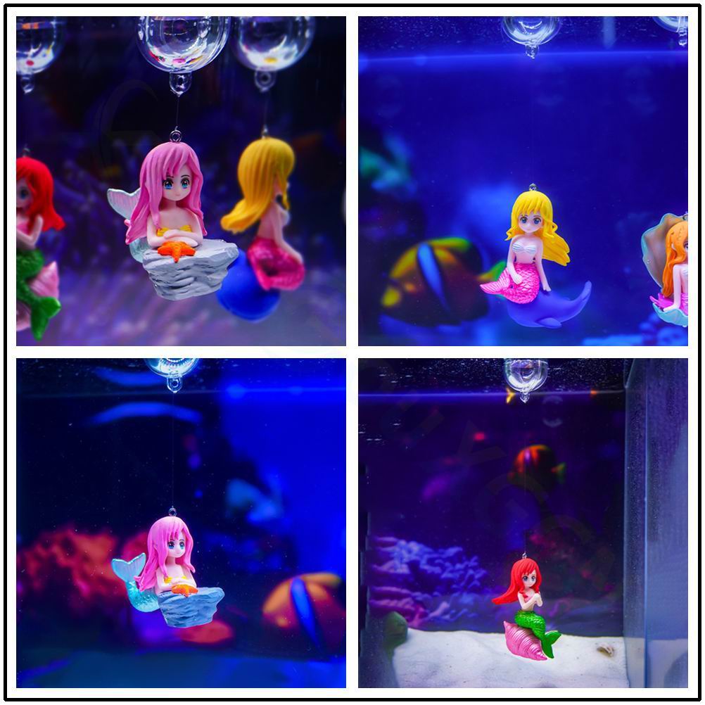 Piękna Syrena Akwariowa Zawies – Aquarium Fish Beautiful recenzja i cena